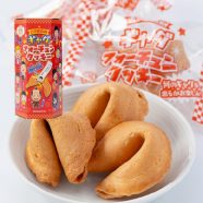 吉本新喜劇ギャグフォーチュンクッキー